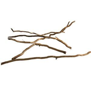 Natural Driftwood Pieces For Crafting & Home Decor 5 pieces